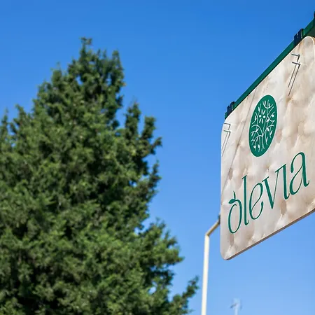Olevia Comfort