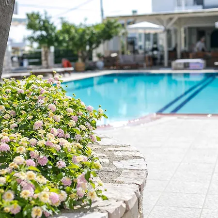 Olevia Comfort 3* Φαληράκι