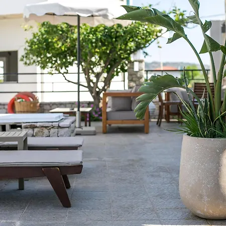 Olevia Comfort 3* Φαληράκι